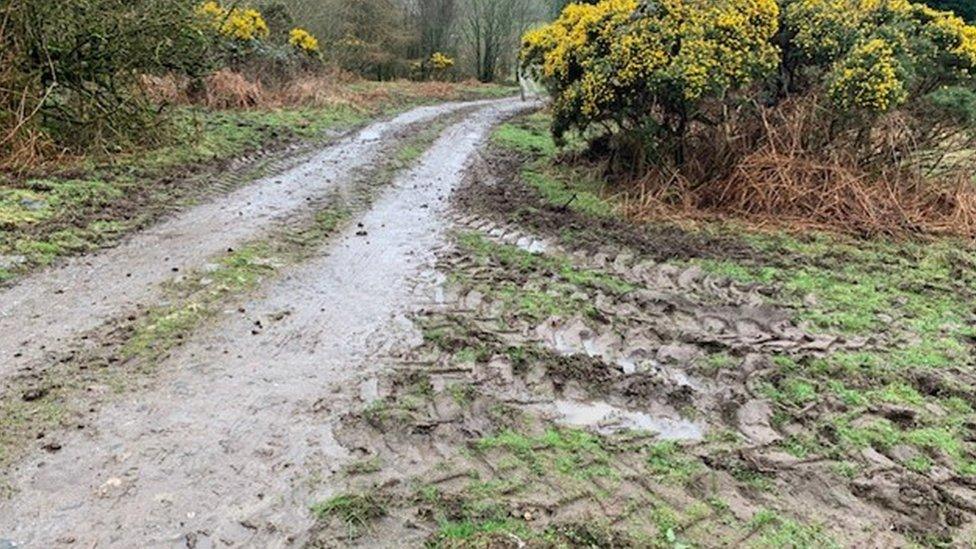 Tyre tracks at dump site