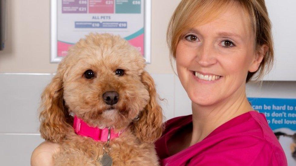 PDSA vet with dog