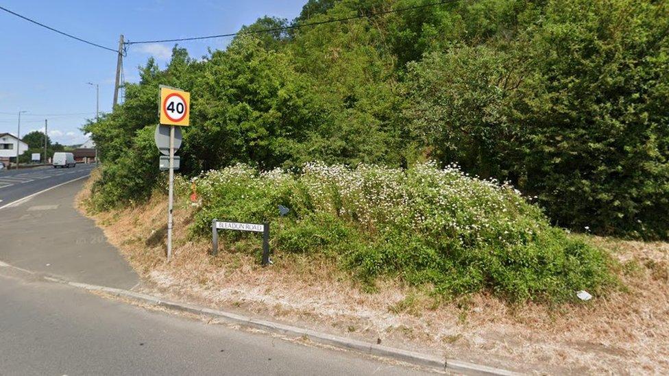 A road in Bleadon