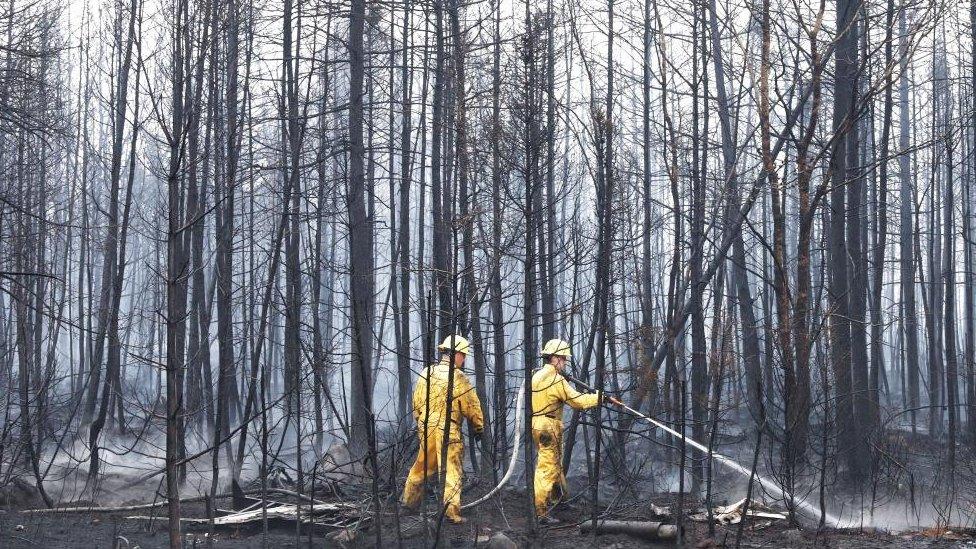 Firefighters spray hot spots in the Birchtown area, while tackling wildfires in Nova Scotia, Canada June 3, 2023.