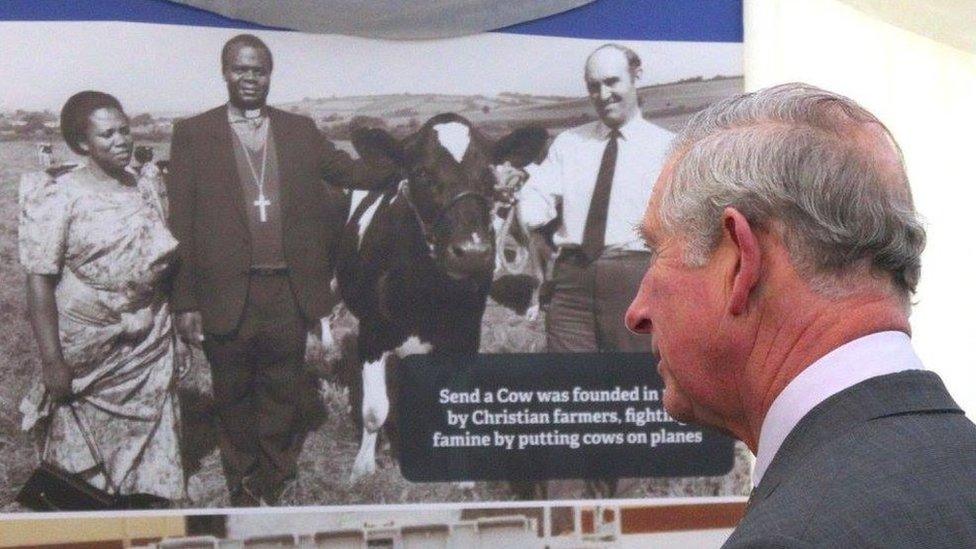 Prince Charles looking at a photo of Send a Cow’s early work in 1988