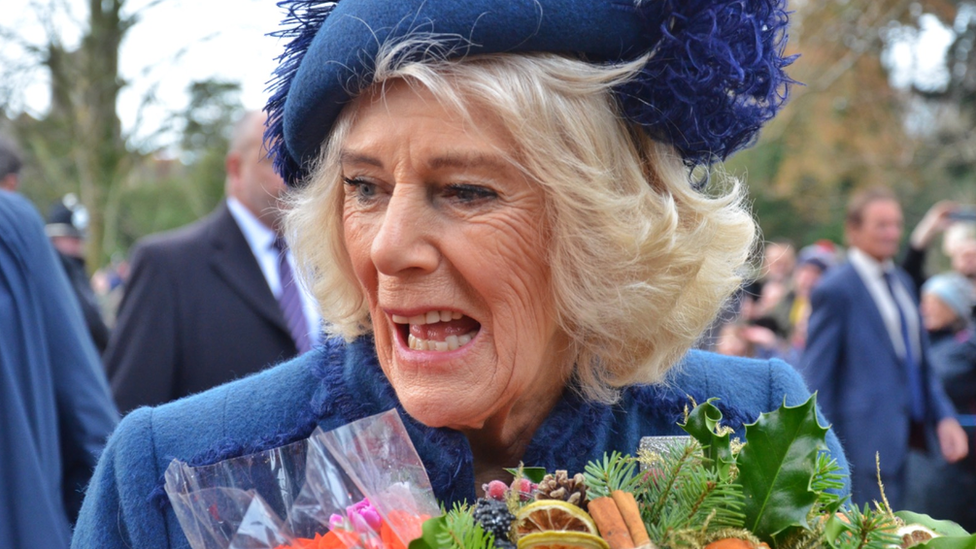 The Queen Consort Camilla