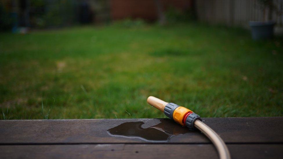 A hosepipe in a garden