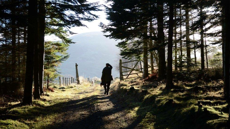Mungo's father walking dogs on his farm