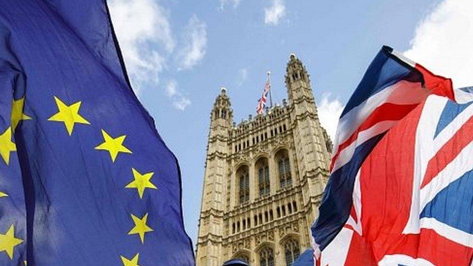 Parliament and flags