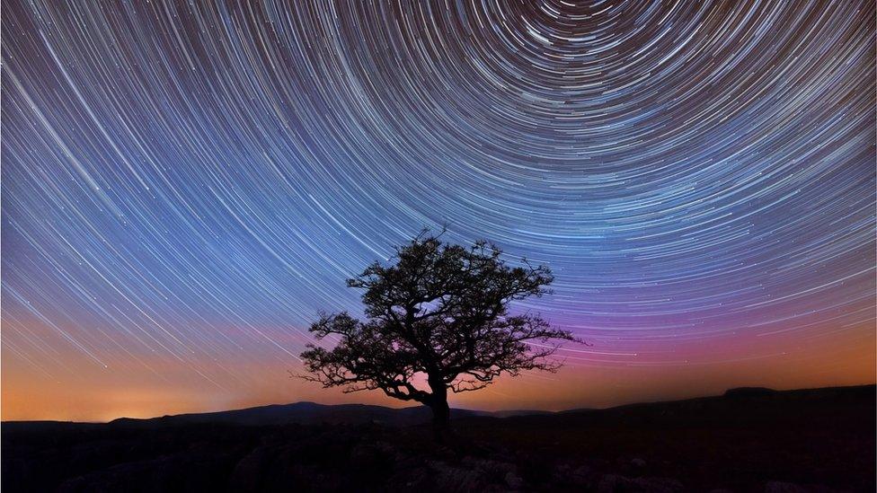 A timelapse of the stars moving behind a tree in Yorkshire