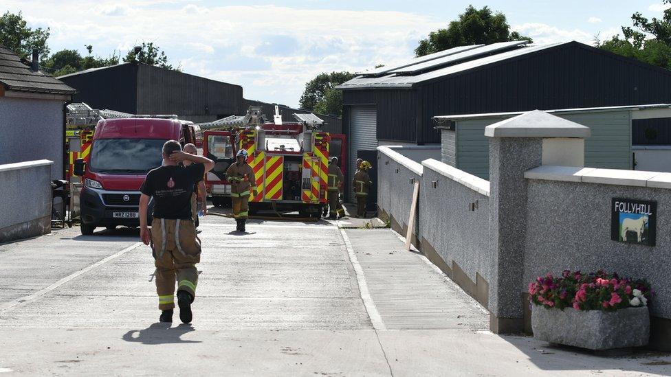 Firefighters at pig rescue