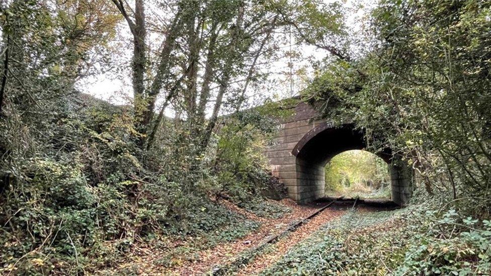 Caldicot railway