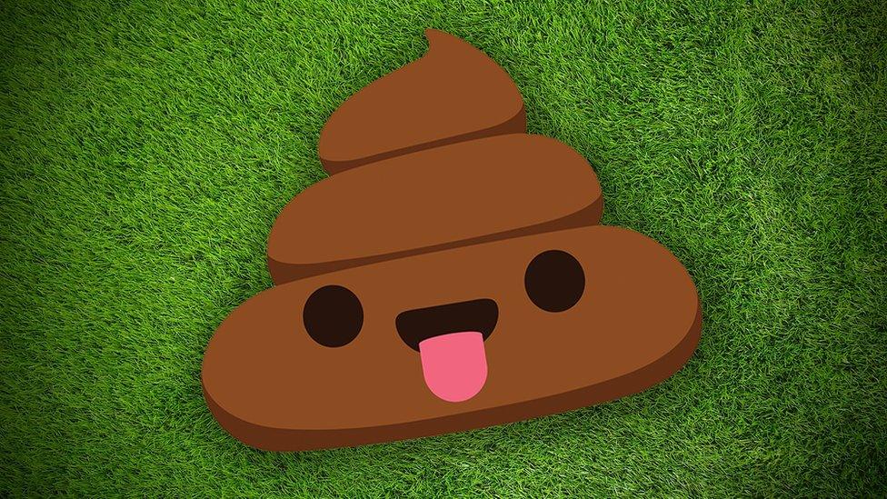 an anthropomorphic poo