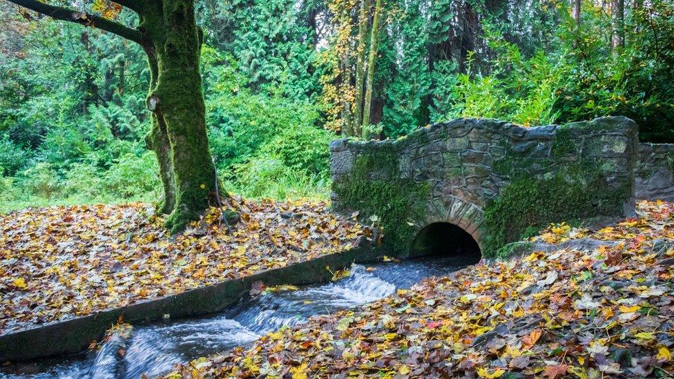 Autumn-coloured leaves on the ground next to an old stone bridge in Drum Manor Forest Park near Cookstown