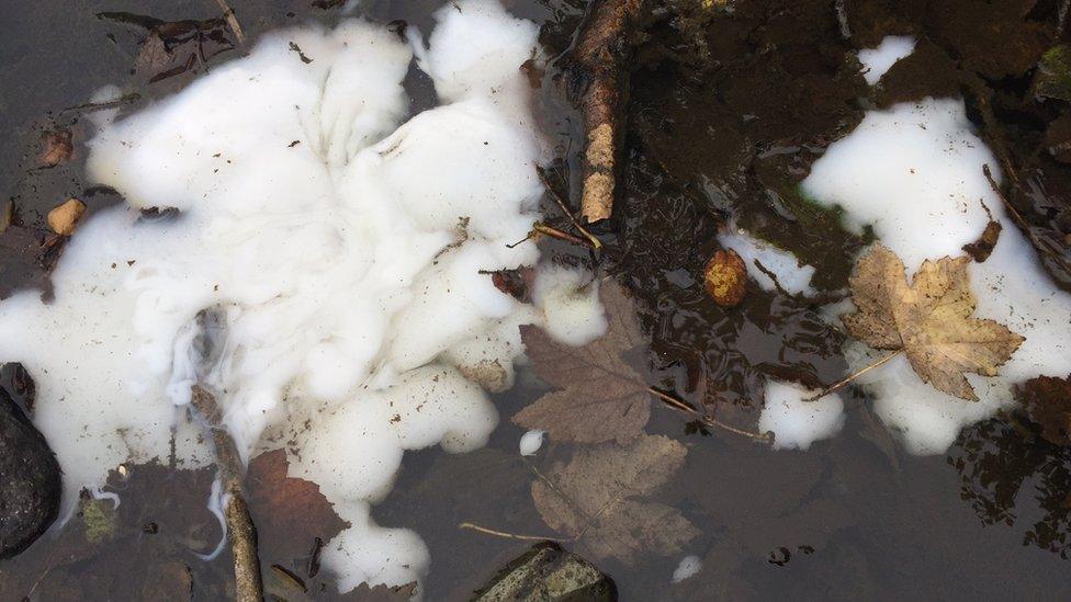 Water samples were collected from the river after the chemical spillage