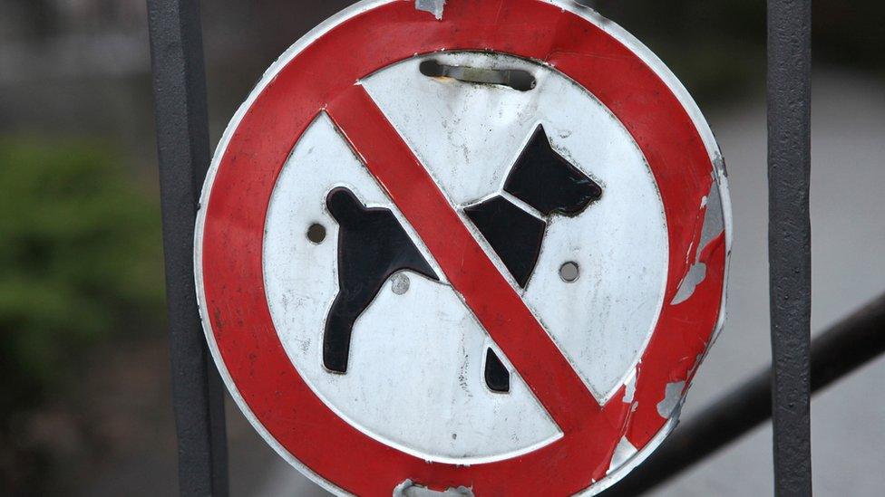 No dogs sign