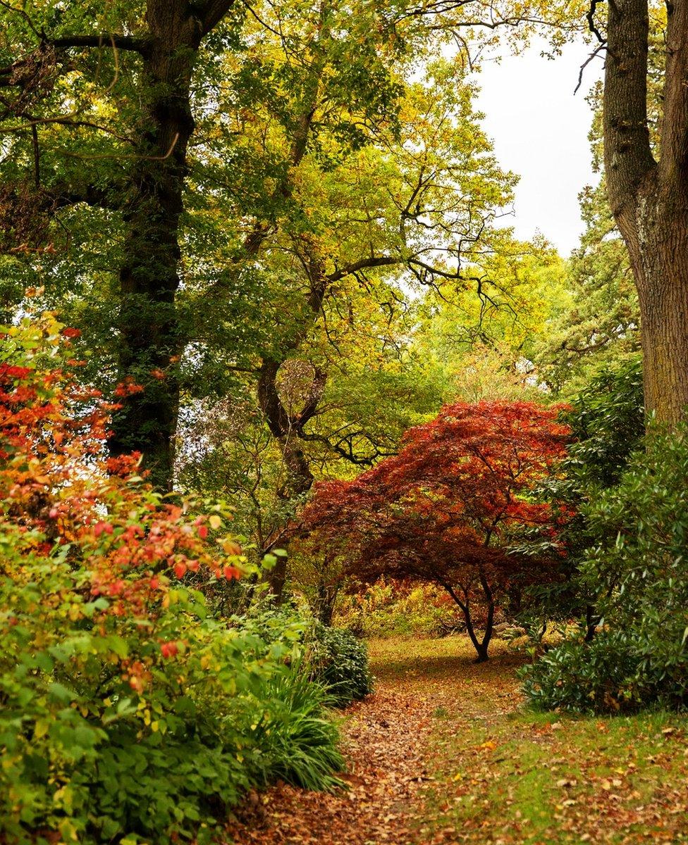 Parc Dolerw