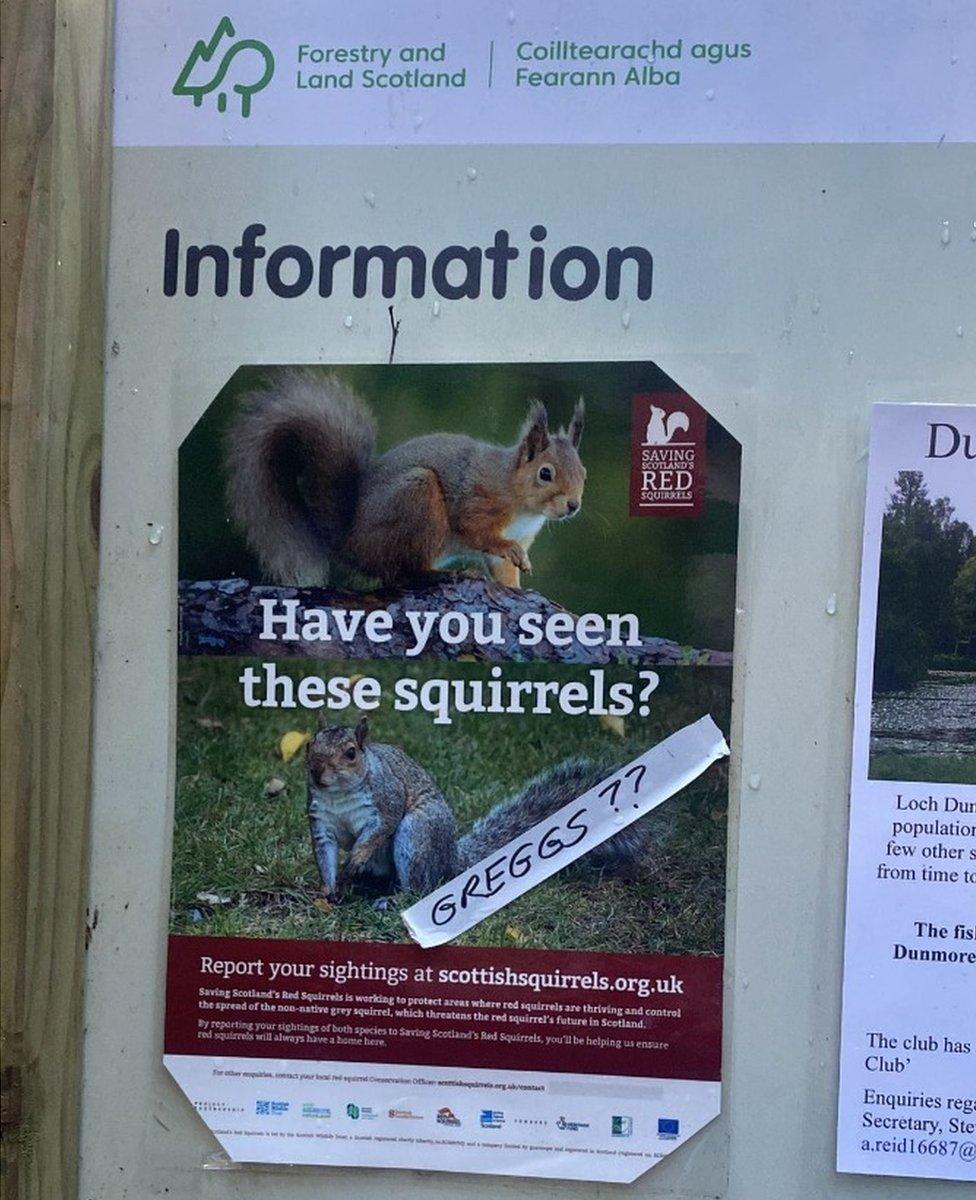 Squirrel poster