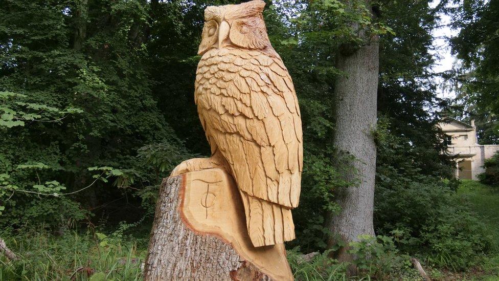 An owl carved into a tree