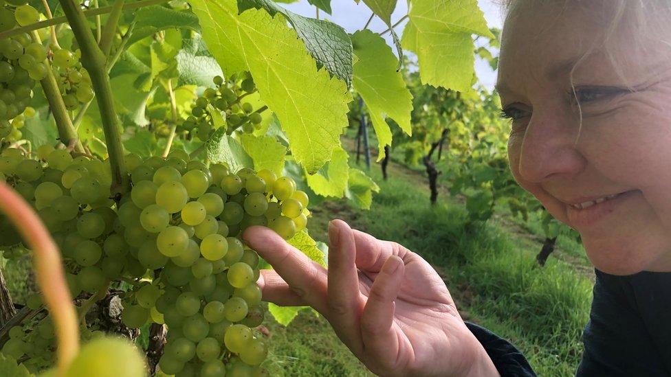 Woman looking at grape