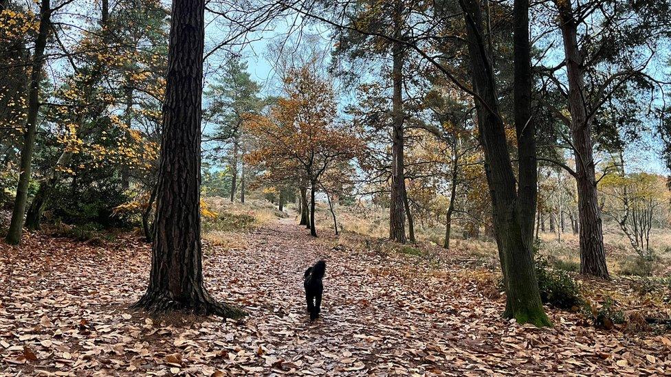 WEDNESDAY - Bracknell Forest