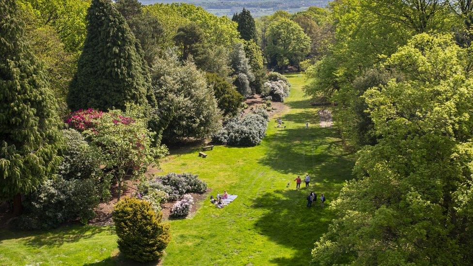 Wentworth Castle gardens