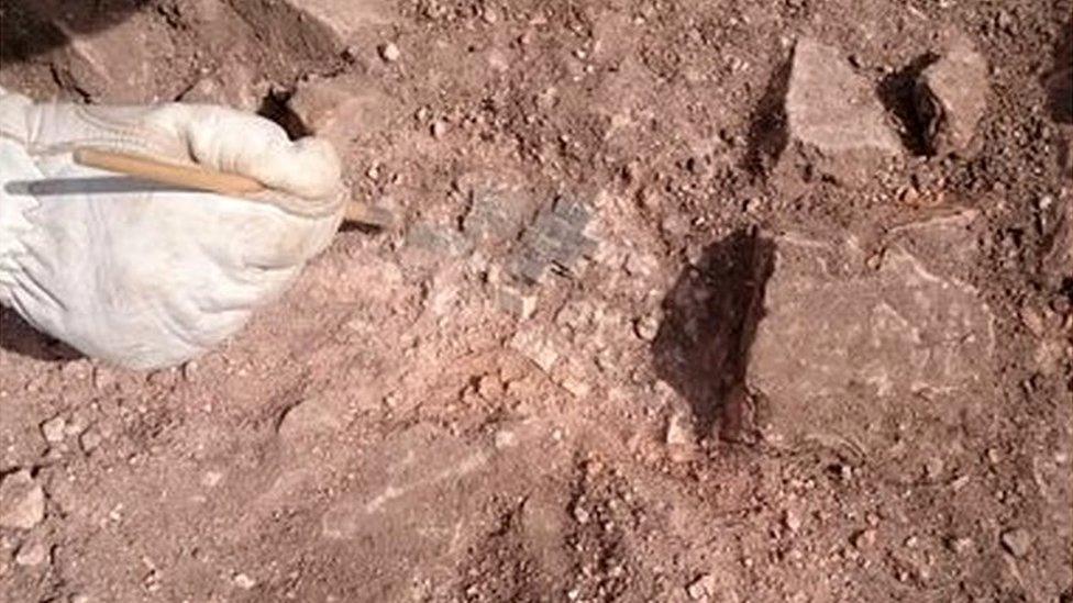 Mosaic flooring uncovered during the Clumber House archaeological dig