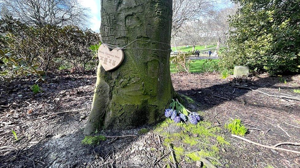 Homemade tree memorial in Princes Street Gardens