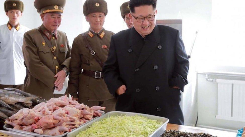 A picture released by North Korea's official Korean Central News Agency (KCNA) on 4 November, 2016 shows Kim Jong-un inspecting a special operation battalion of the Korean People's Army