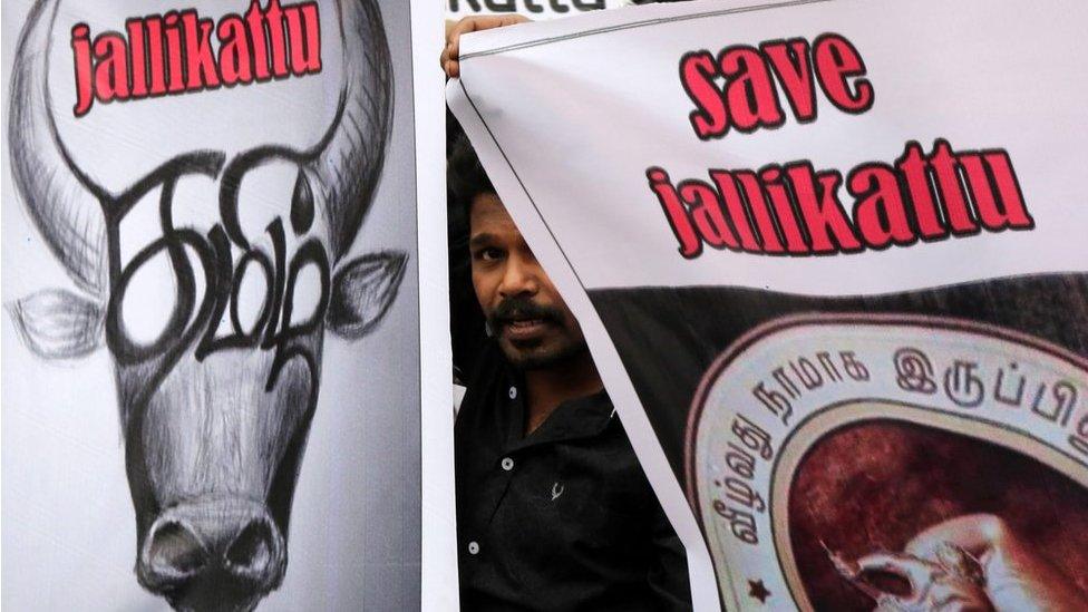 Members of various Tamil organizations, students, and supporters hold placards, during a protest held to demand the lift of the ban on the bull-taming sport Jallikattu, and impose a ban on the animal rights group People for the Ethical Treatment of Animals (PETA), Chennai, Tamil Nadu, India, 21 January 2017.