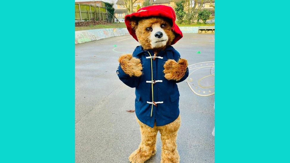 Paddington bear