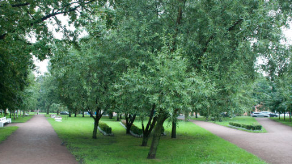 Tkachey Street, St Petersburg