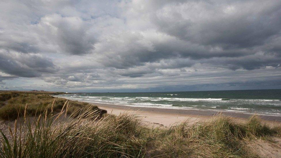 An empty Northumberland beach with grassy dunes