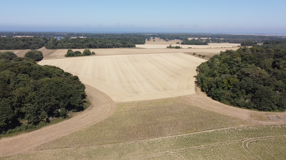 The dry fields of Holkham Estate