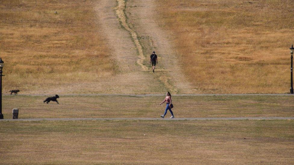 Parts of the UK were affected by drought this summer because of the hot and dry weather conditions