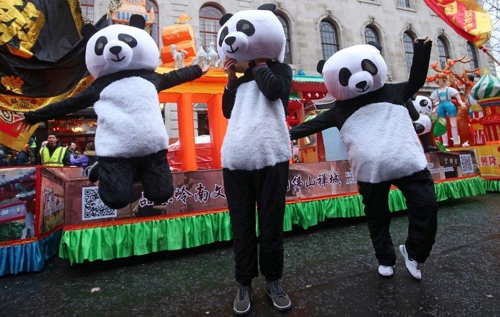 Panda performers