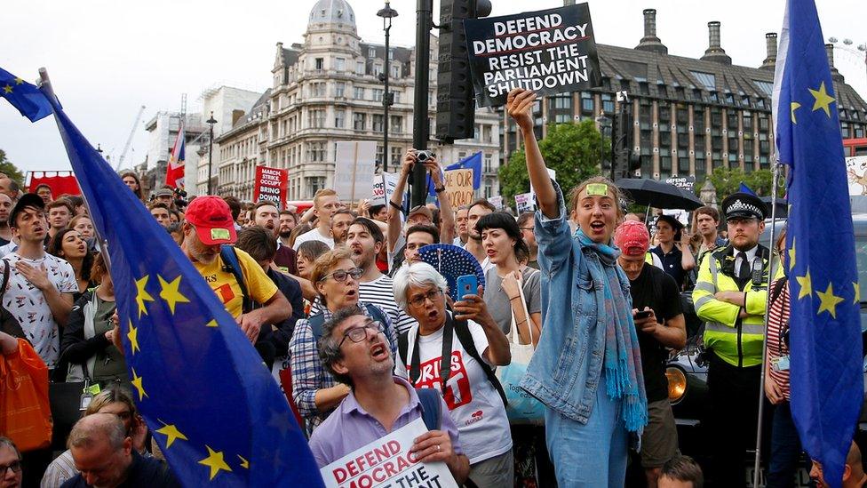 protesters-at-westminster.