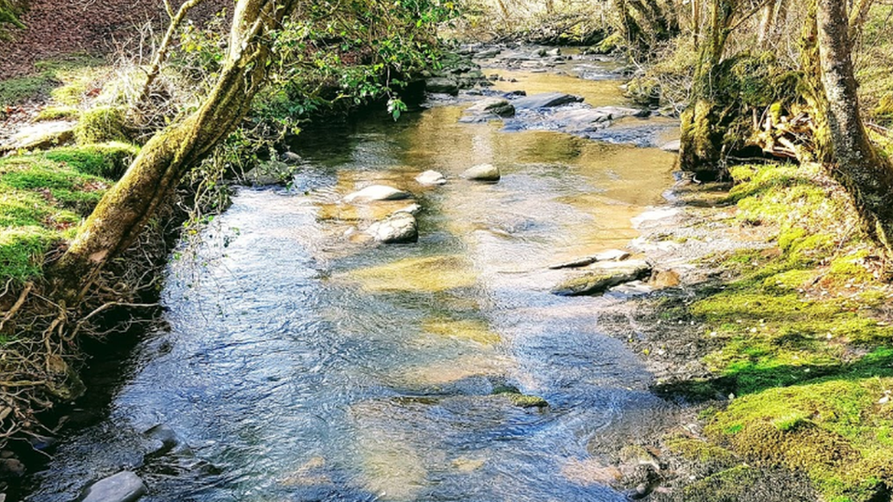 Lower Clydach River