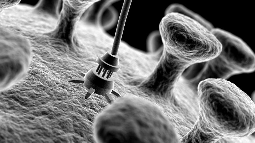 Microscopic view of nanotechnology