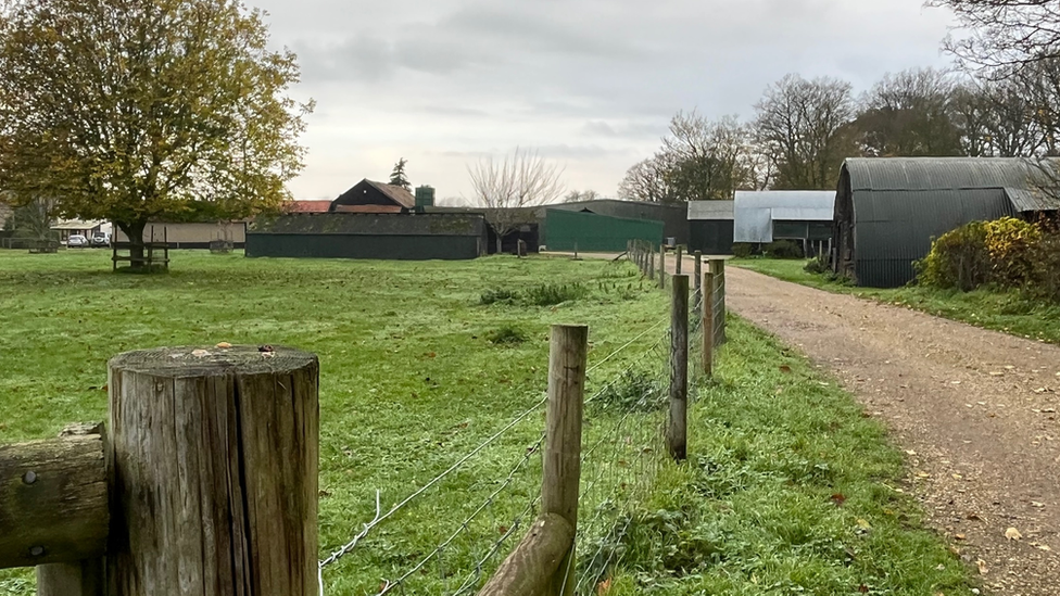 View of farm