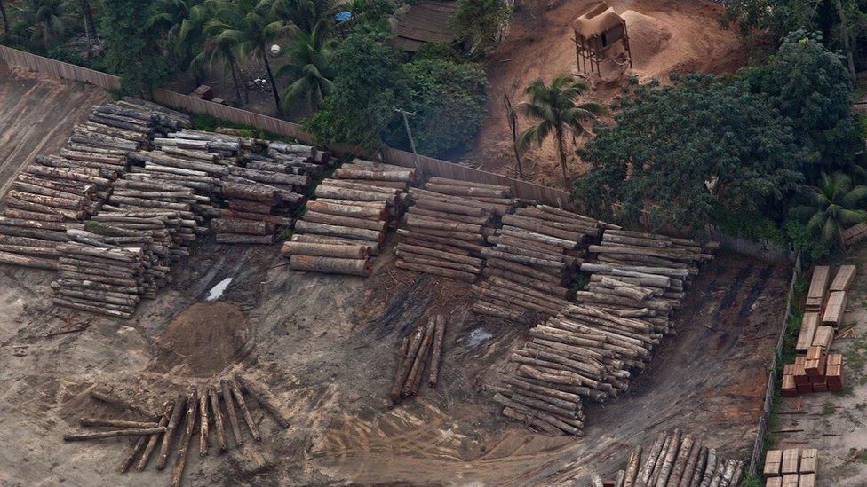 Aerial view of an illegal sawmill