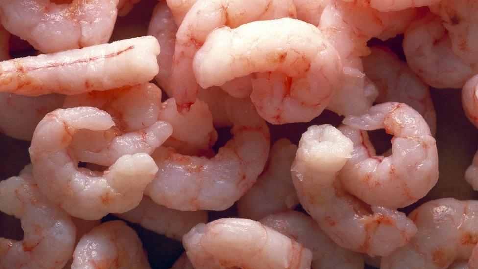 Stock photo of prawns