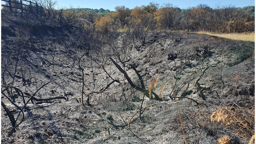 Aftermath of the blaze at Ryton