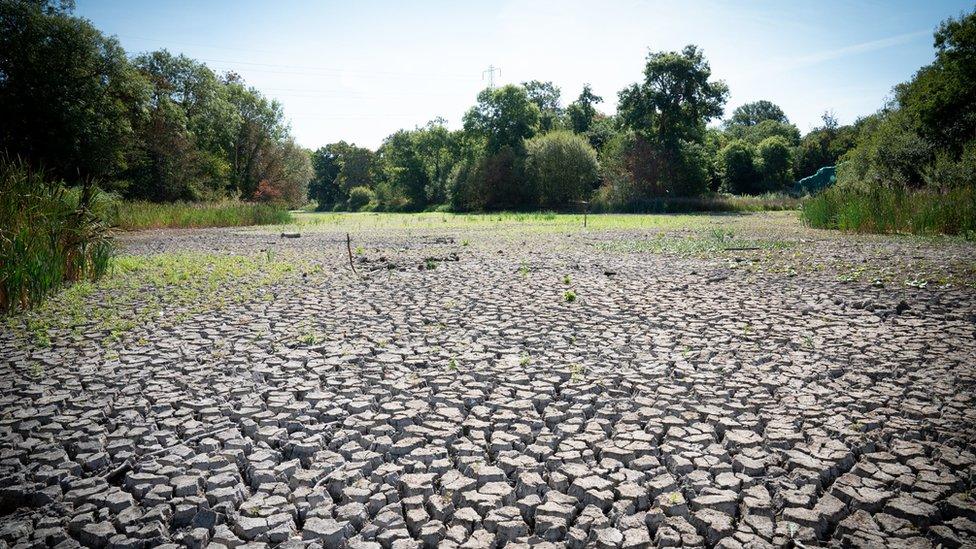 The bed of a dried up lake in Wanstead Park, north-east London