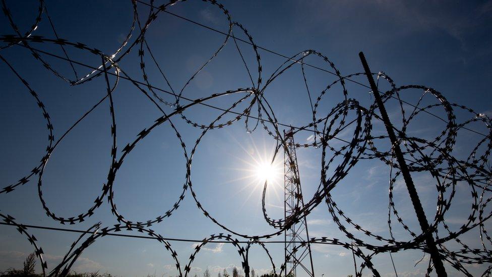 Hungary's barbed wire fence