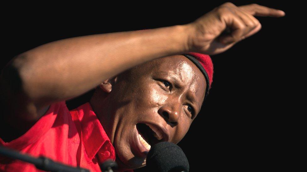 Julius Malema