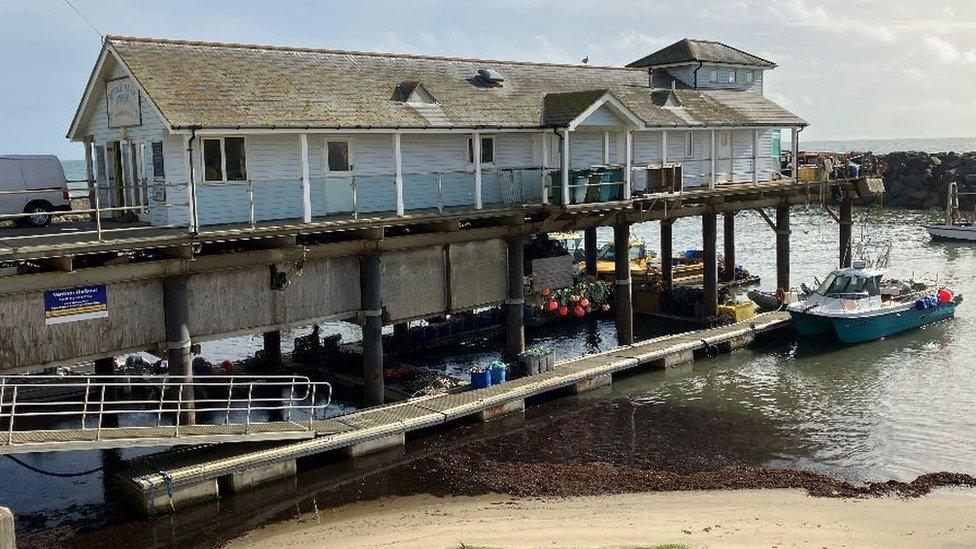 Ventnor Haven Fishery