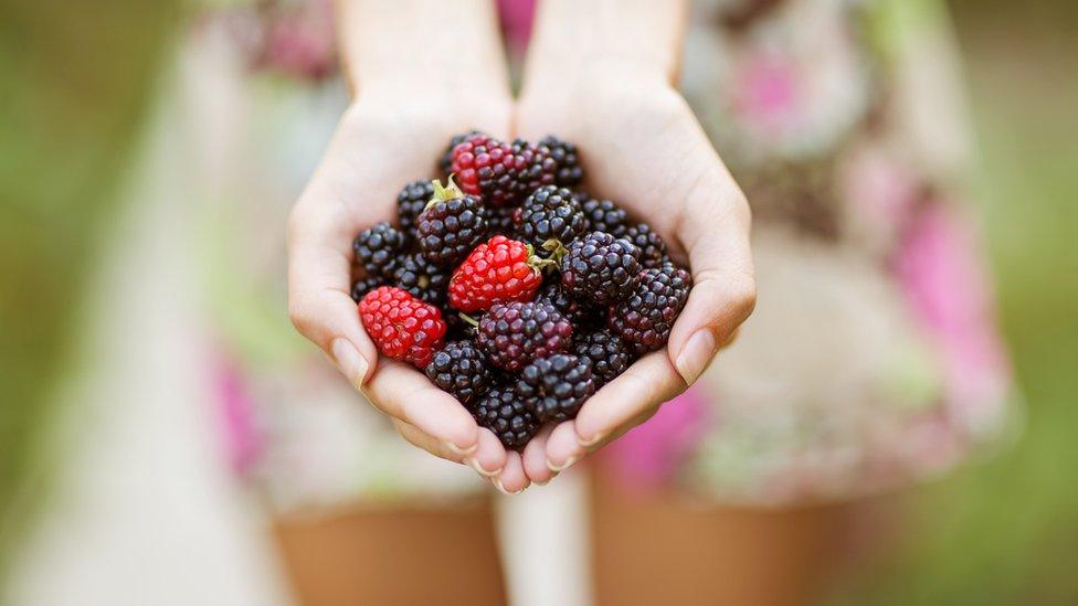 Fruit picking