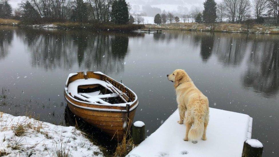 Snowy scene in West Linton