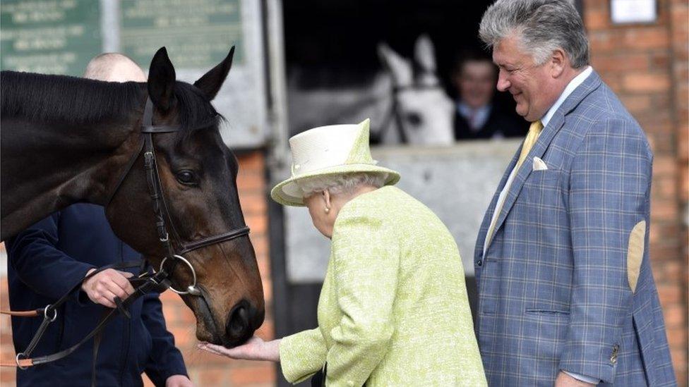 The Queen visiting Paul Nicholls yard