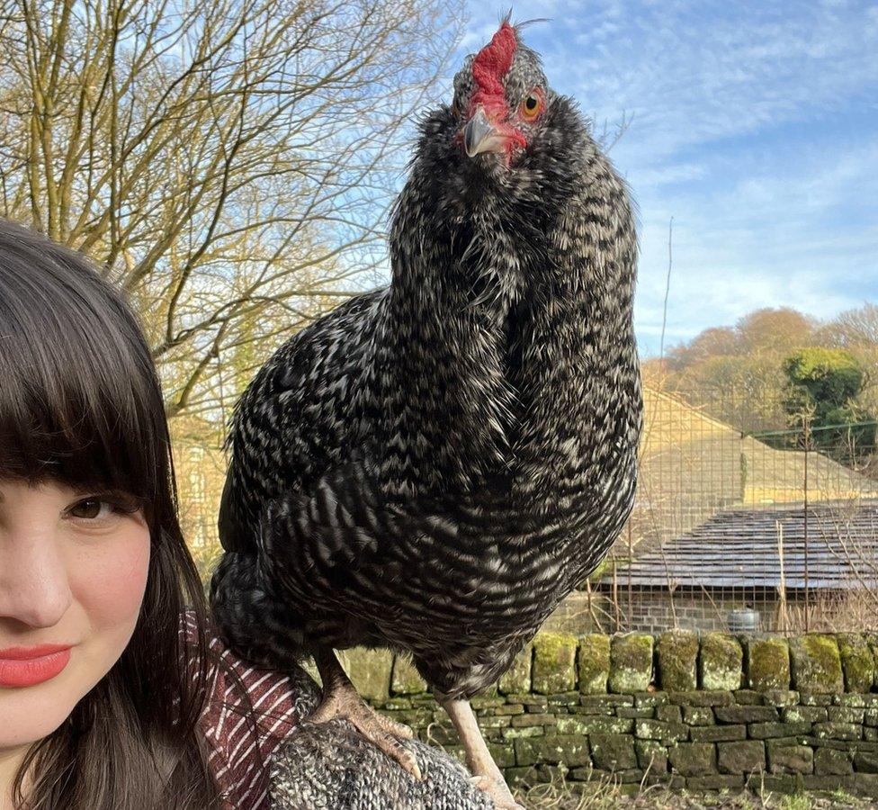 Sara and the rooster