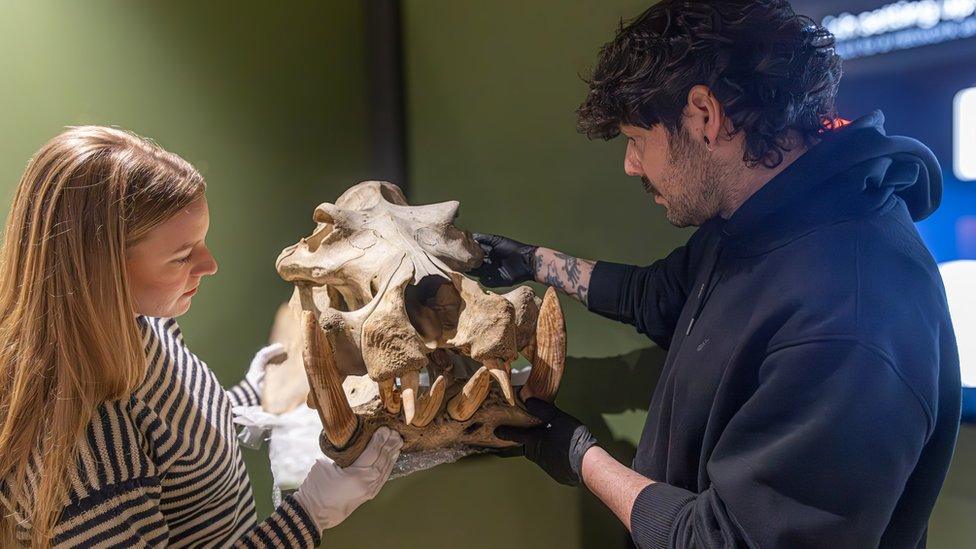 Staff looking at a mammal's bone