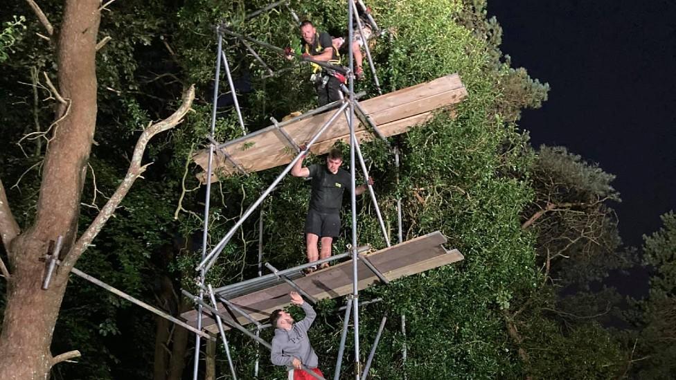 Scaffolders work to try to get the cat out of the tree