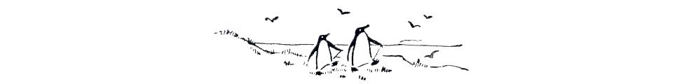 Penguin illustration